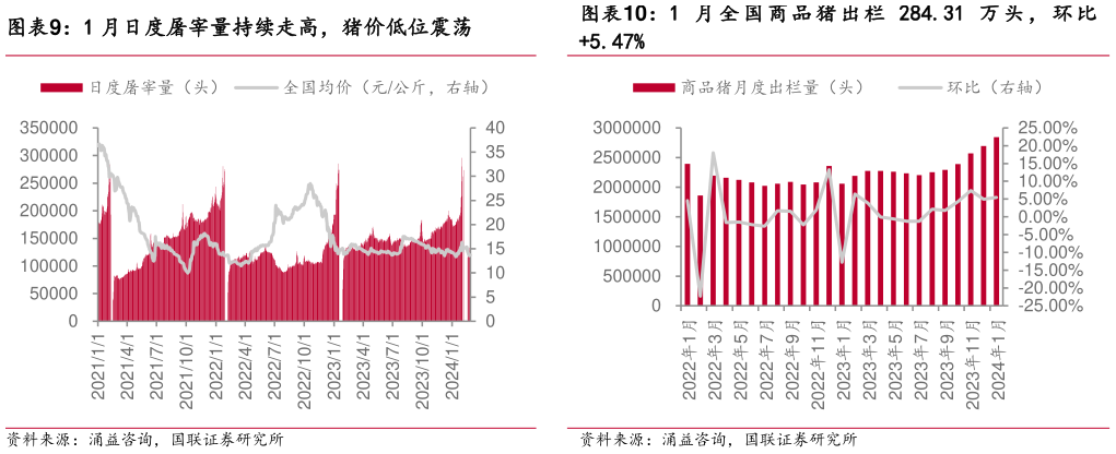 一起讨论下1 月日度屠宰量持续走高,猪价低位震荡?