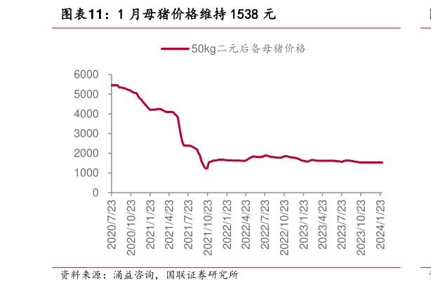 如何了解1 月母猪价格维持 1538 元?