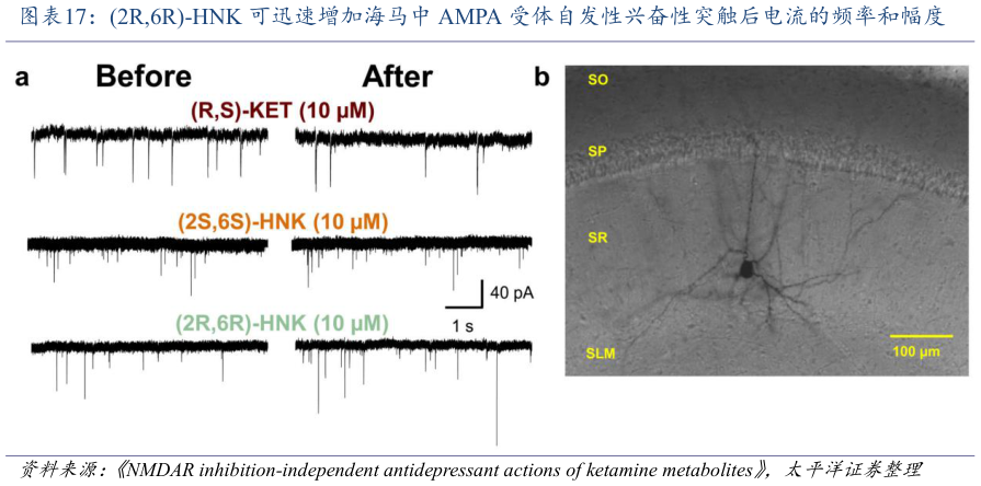 一起讨论下2R,6R-HNK 可迅速增加海马中 AMPA 受体自发性兴奋性突触后电流的频率和幅度