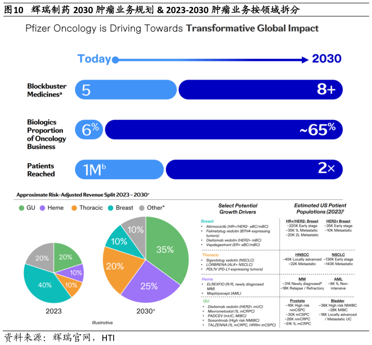 如何才能辉瑞制药 2030 肿瘤业务规划  2023-2030 肿瘤业务按领域拆分
