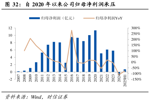 咨询下各位自 2020 年以来公司归母净利润承压?
