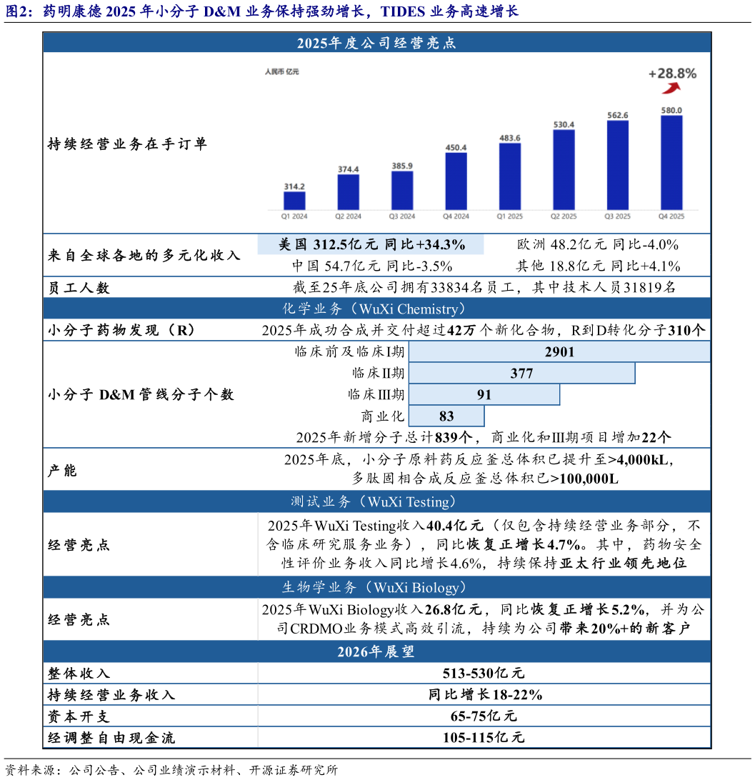 如何解释药明康德 2025 年小分子 DM 业务保持强劲增长，TIDES 业务高速增长