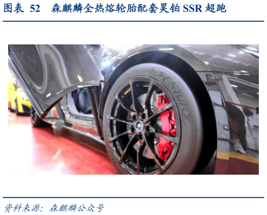 咨询下各位森麒麟全热熔轮胎配套昊铂 SSR 超跑