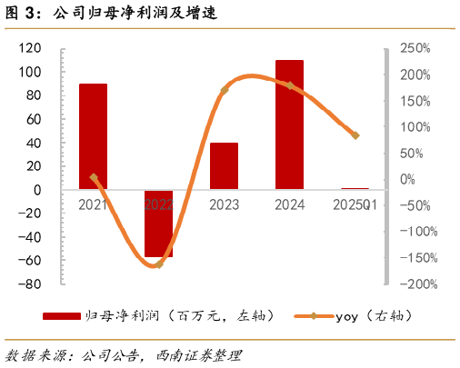 咨询大家公司归母净利润及增速