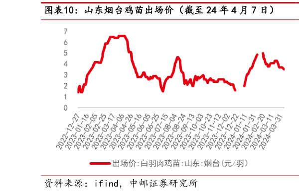 如何了解山东烟台鸡苗出场价(截至 24 年 4 月 7 日) 山东烟台毛鸡收购价(截至 24 年 4 月 7 日)?