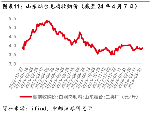 咨询大家山东烟台毛鸡收购价(截至 24 年 4 月 7 日)?
