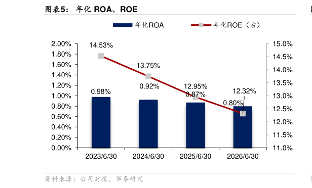 咨询大家年化 ROA、ROE