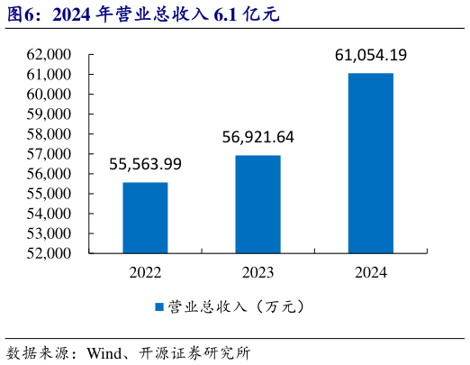 怎样理解2024 年营业总收入 6.1 亿元