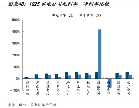 咨询大家1Q25水电公司毛利率、净利率比较