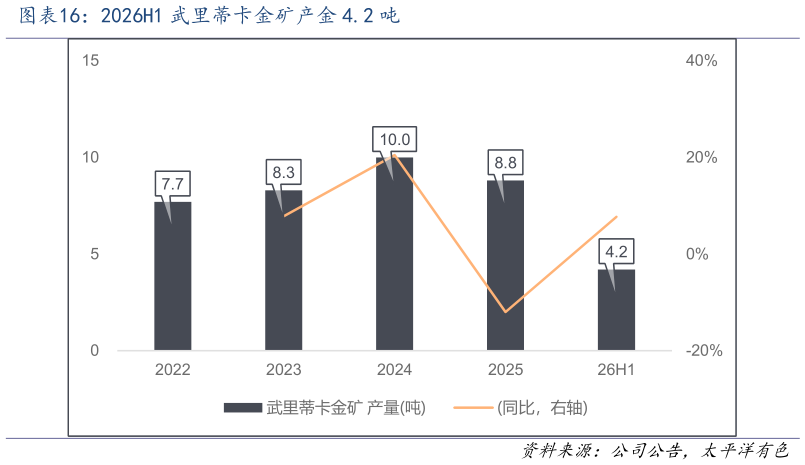 咨询大家2026H1 武里蒂卡金矿产金 4.2 吨