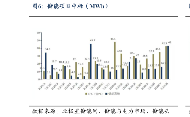 谁能回答储能项目中标（MWh）