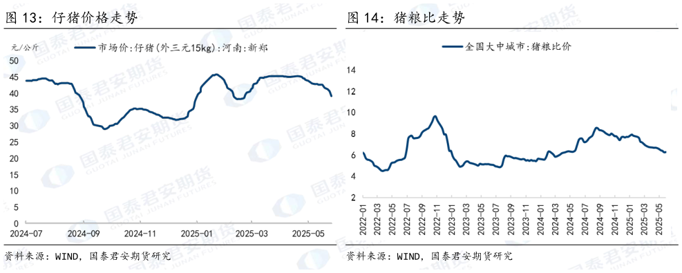各位网友请教一下仔猪价格走势 猪粮比走势