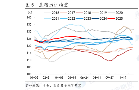 如何解释生猪出栏均重