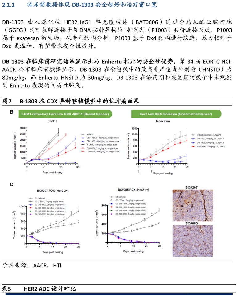 怎样理解B-1303 在 CDX 异种移植模型中的抗肿瘤效果表现的间质性肺炎。 