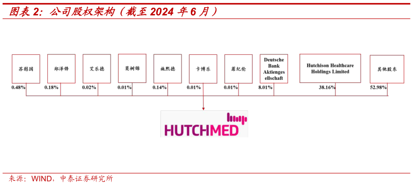 一起讨论下公司股权架构(截至2024 年6 月)?