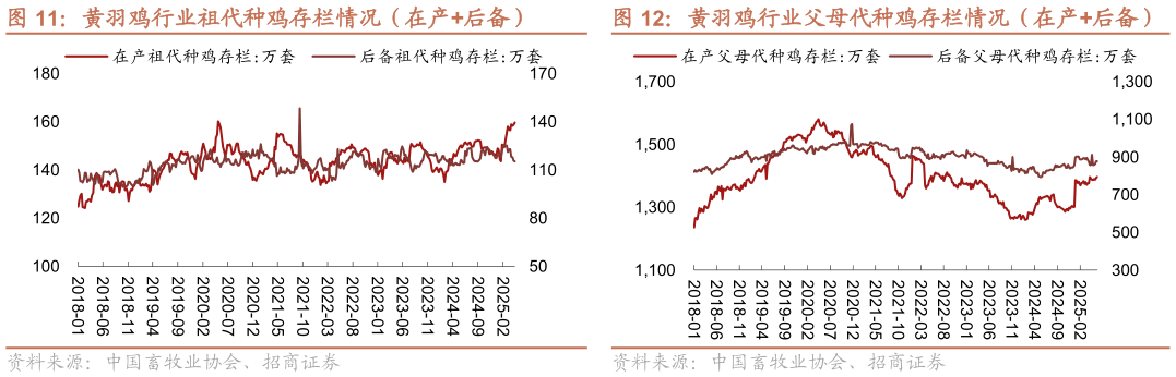 如何看待黄羽鸡行业父母代种鸡存栏情况(在产后备)?