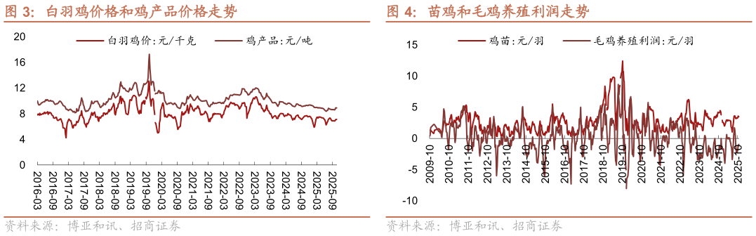 咨询大家苗鸡和毛鸡养殖利润走势?