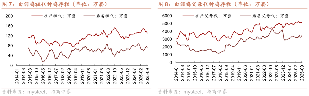 想关注一下白羽鸡父母代种鸡存栏(单位:万套)?
