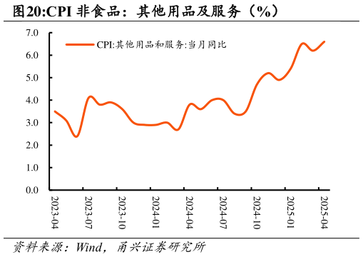 我想了解一下CPI 非食品：其他用品及服务（%）