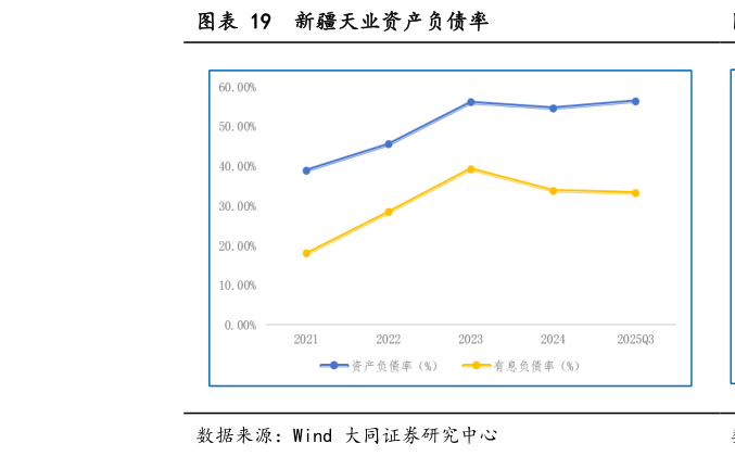 各位网友请教一下新疆天业资产负债率