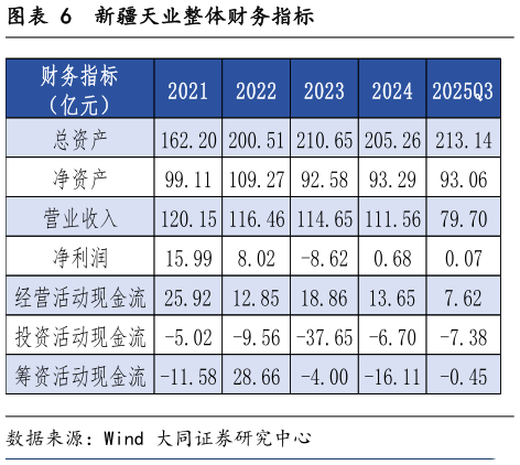 谁知道新疆天业整体财务指标