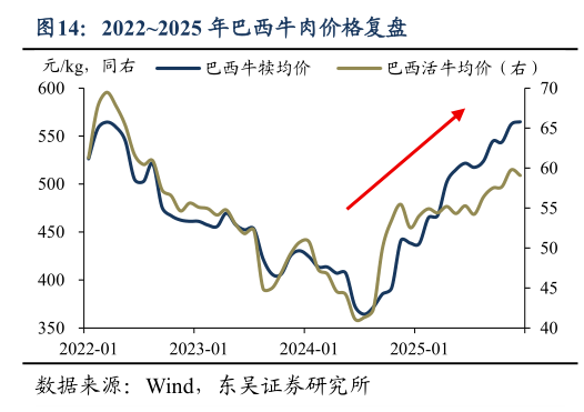 如何看待20222025 年巴西牛肉价格复盘