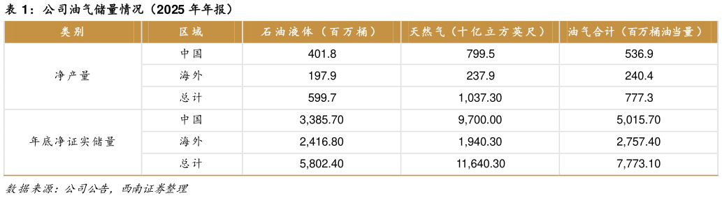 如何了解公司油气储量情况（2025 年年报）