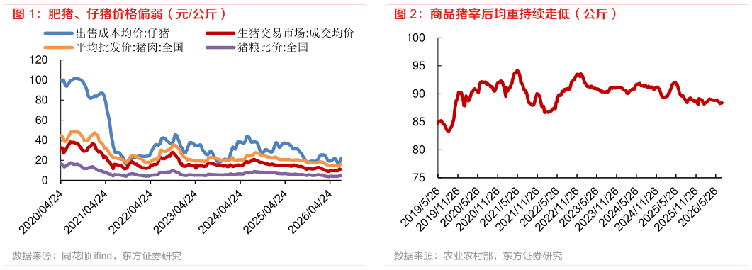 咨询下各位肥猪、仔猪价格偏弱（元公斤） 商品猪宰后均重持续走低（公斤）