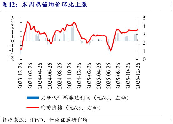 怎样理解本周鸡苗均价环比上涨