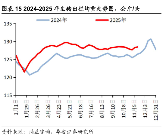 一起讨论下2024-2025 年生猪出栏均重走势图，公斤头