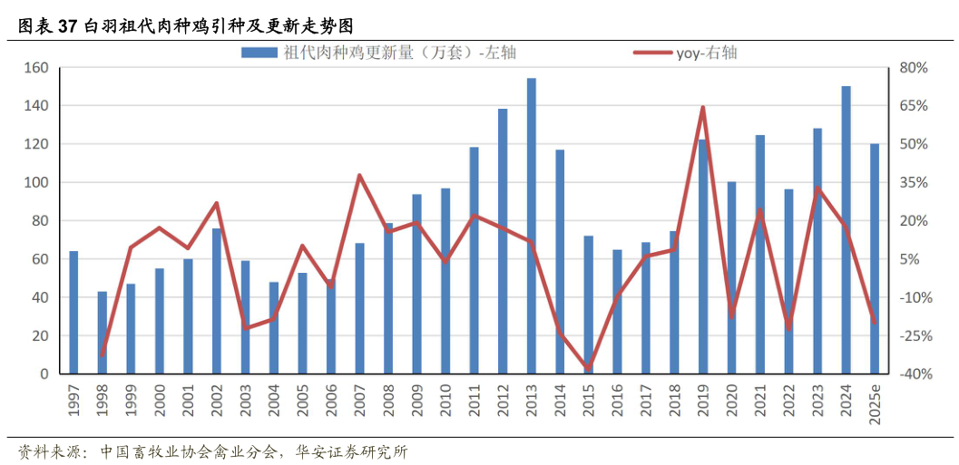 如何了解白羽祖代肉种鸡引种及更新走势图