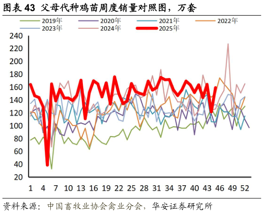 想问下各位网友父母代种鸡苗周度销量对照图，万套