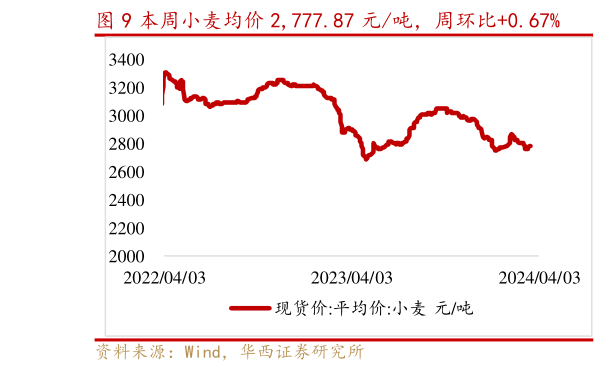 我想了解一下本周小麦均价 2,777.87 元吨，周环比0.67%?