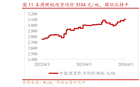 如何了解本周粳稻现货均价 3104 元吨，周环比持平?