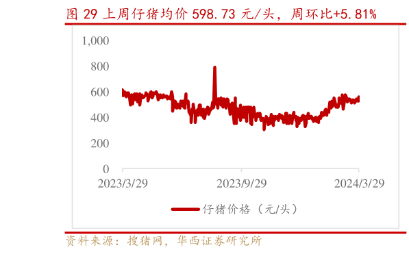 一起讨论下上周仔猪均价 598.73 元头，周环比5.81%?