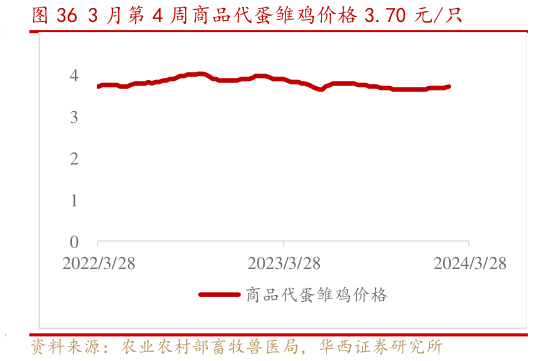 你知道3 月第 4 周商品代蛋雏鸡价格 3.70 元只?