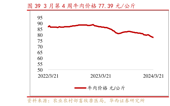 如何解释3 月第 4 周牛肉价格 77.39 元公斤?