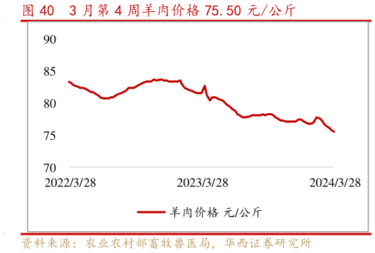 想问下各位网友3 月第 4 周羊肉价格 75.50 元公斤?