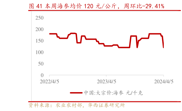 咨询下各位本周海参均价 120 元公斤，周环比-29.41%?