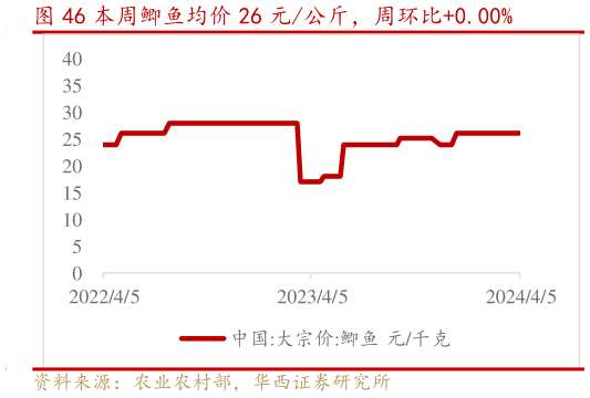 如何了解本周鲫鱼均价 26 元公斤，周环比0.00%?