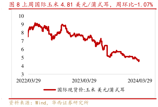想关注一下上周国际玉米 4.81 美元蒲式耳，周环比-1.07%?