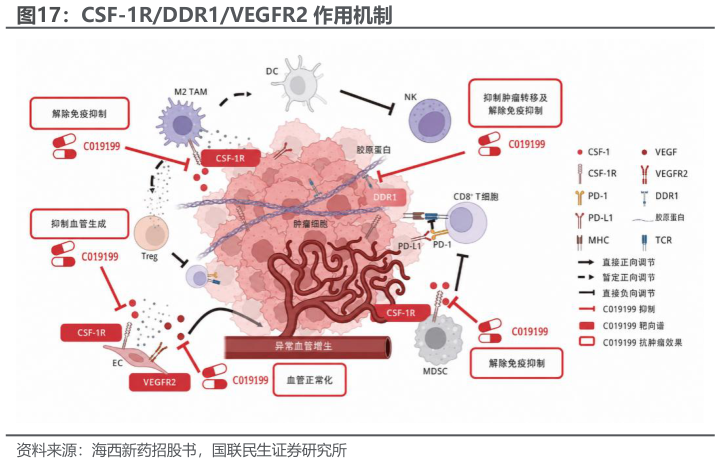 如何了解CSF-1RDDR1VEGFR2 作用机制