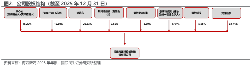 如何了解公司股权结构（截至 2025 年 12 月 31 日）