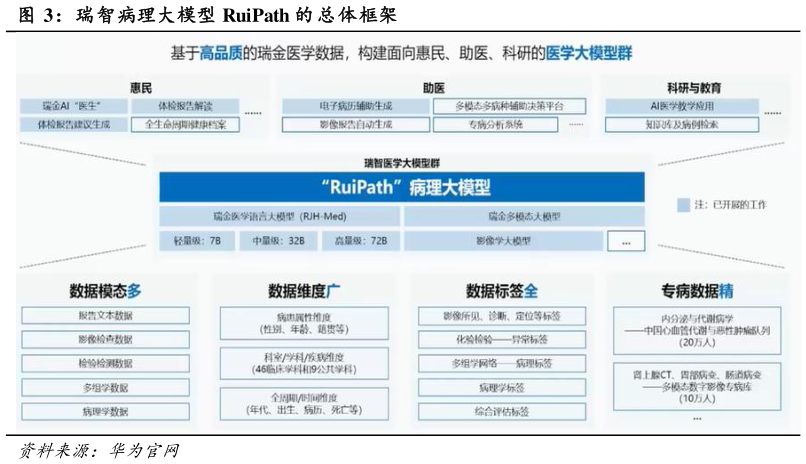 想问下各位网友瑞智病理大模型 RuiPath 的 总体框架