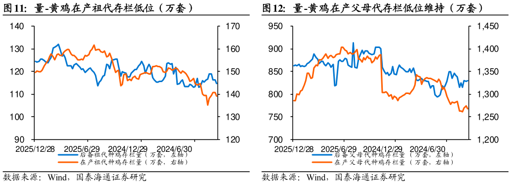 如何了解量-黄鸡在产祖代存栏低位（万套）量-黄鸡在产父母代存栏低位维持（万套）