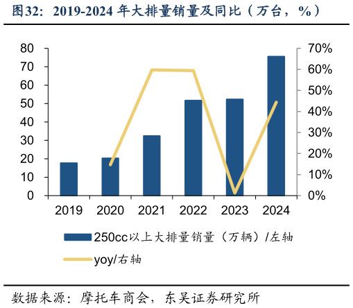 如何了解2019-2024 年大排量销量及同比(万台,%)?
