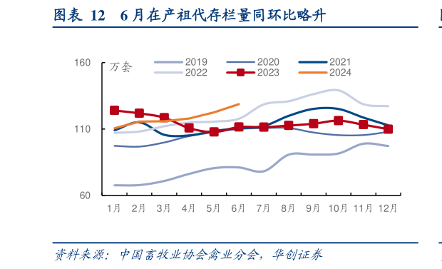 如何了解6 月在产祖代存栏量同环比略升?