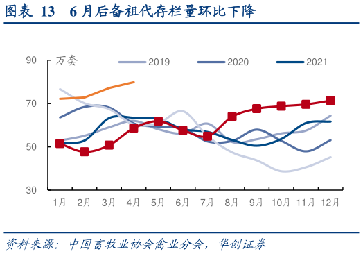 如何解释6 月后备祖代存栏量环比下降?