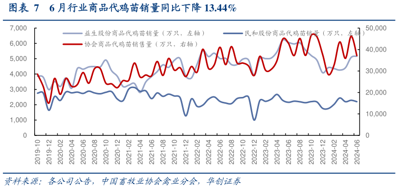 如何解释6 月行业商品代鸡苗销量同比下降 13.44%?
