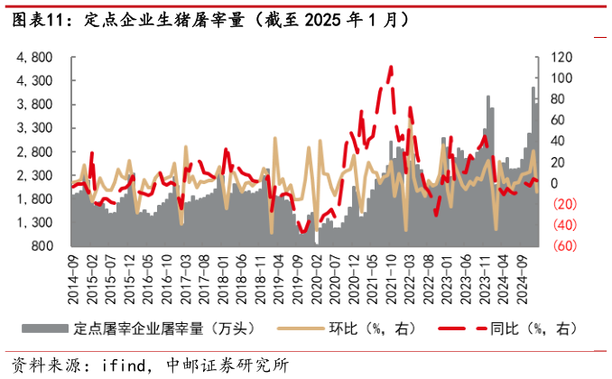 如何了解定点企业生猪屠宰量(截至 2025 年 1 月)?
